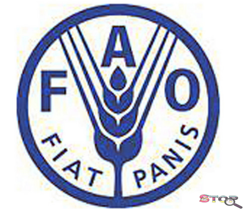 conseguir duas das 50 medalhas destinadas à toda a região africana, formada por 47 países